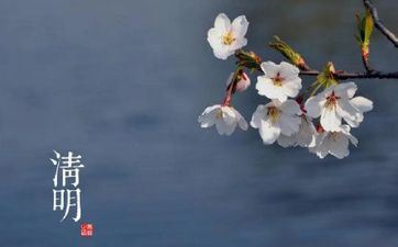 2024年分缘较好的星座 哪些星座2024分缘好