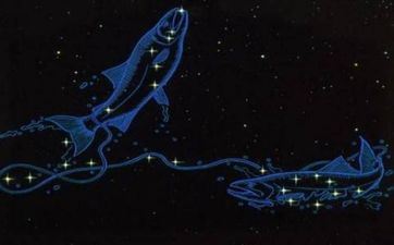 让双鱼傻傻爱着的星座 双鱼座离不开的星座女 让双鱼傻傻爱着的星座 双鱼座离不开的星座女