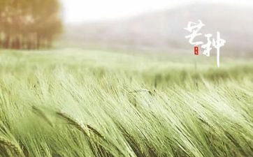 2021年芒种艳遇指数高的星座