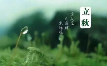 12星座的职场补药