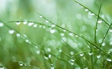 虚情假意 历来不说一句真话的星座男