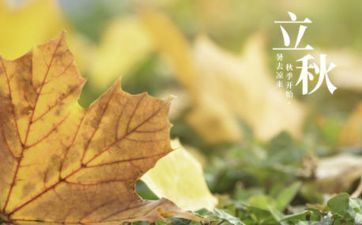 爱情看上升星座仍是太阳星座