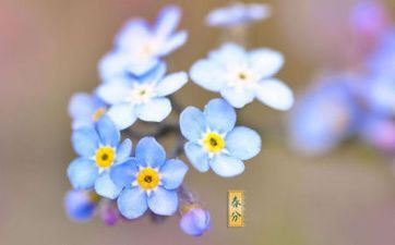 四大星座6月日子熬出头 哪个星座是六月的好运星座