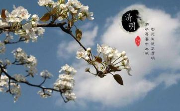 最让异性想睡的星座女 又美又有气质又强壮的星座女