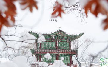 嘴上爱吐槽 但这些星座男最会照料人