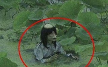 属猴水瓶座运势 水瓶座属猴属相最成功