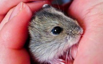 2024升职加薪能遇到贵人相助的星座 2024升职加薪能遇到贵人相助的星座