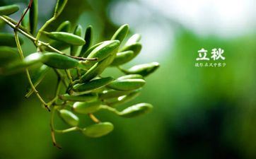 测你2024年会遇到什么劫难 2024年是否有灾祸