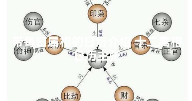 带每日属相的日历介绍 十二生肖日历主张