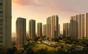 深度开扒看似专注实则多情的血型！