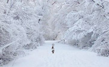 12星座到了新年谁最红