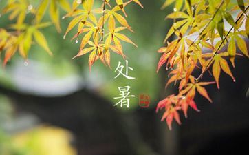 1月份哪天合适理发 2025年1月哪天是理发好日子