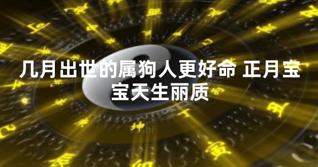 几月出世的属狗人更好命 正月宝宝天生丽质