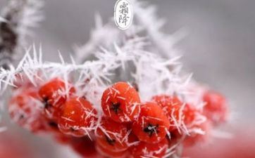 特立独行，不喜爱看人脸色的星座，底气足，从不阿谀奉承