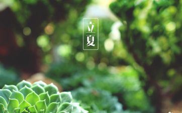 一旦被孤负 就会回收自己一切温顺的星座