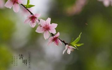 喜爱沉浸在心里国际的星座男