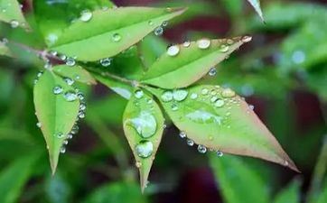 手机控 这些星座男一天看手机长达12小时