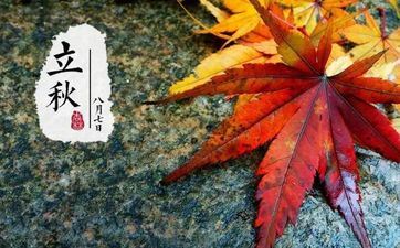 12星座的男朋友谁最宠女友