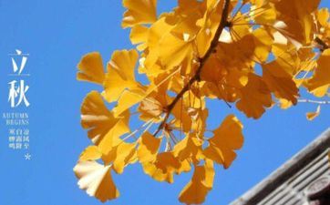 炽热气候 却有好心态的星座