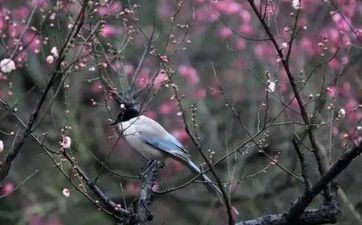 迟早会暴富的四大星座，抱大腿