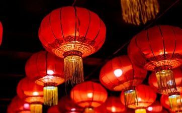 2月11日是什么星座