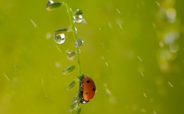 12星座这些体现阐明你真的很重要