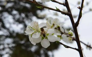 日子中不能开罪的三个星座，快来看看吧