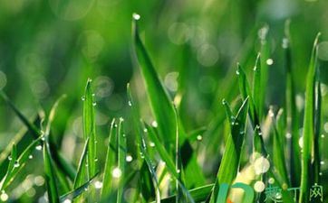 盛产精英的三个星座，他们智商真的很高