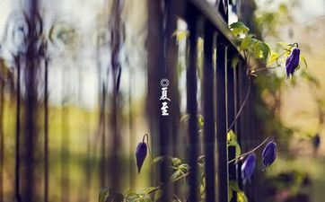 2024年婚姻缘分已尽的星座女