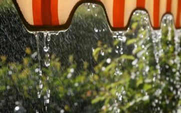 再矫情也不会惹异性厌烦的星座女