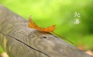 二月生辰石是什么 二月生辰石介绍