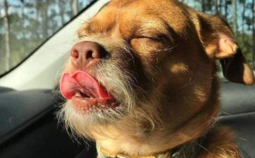 1月18日是什么星座