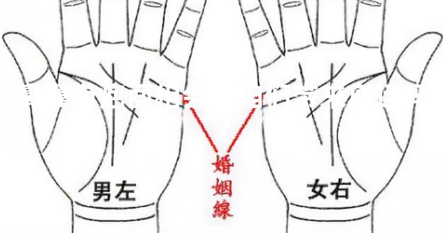 鼻翼有疤面相会给咱们带来厄运吗？