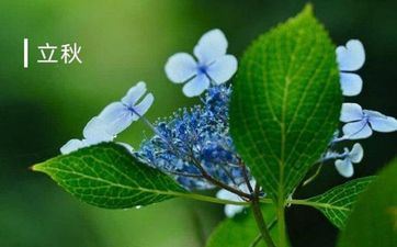 这些星座女是佛系女朋友，从不束缚男友