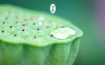 三月星座财气排行榜