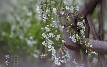 十二月桃花运爆棚的星座