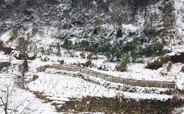 哪些星座男喜爱给他人带绿帽