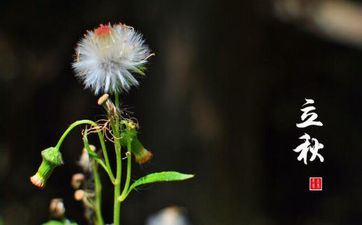 想要寻求愿望却又不肯辛苦的星座 寻求愿望却无法完成的人
