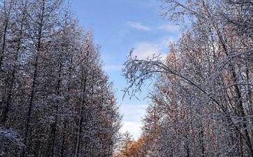 2021最富的星座 有财缘