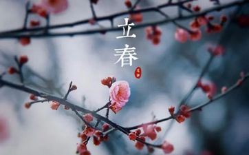 12星座怎么防伪坦率