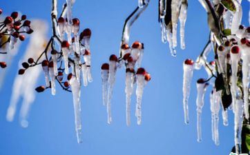 2024年阴历腊月初六小寒是领证挂号大好日子吗 2024年阴历腊月初六小寒是领证挂号大好日子吗