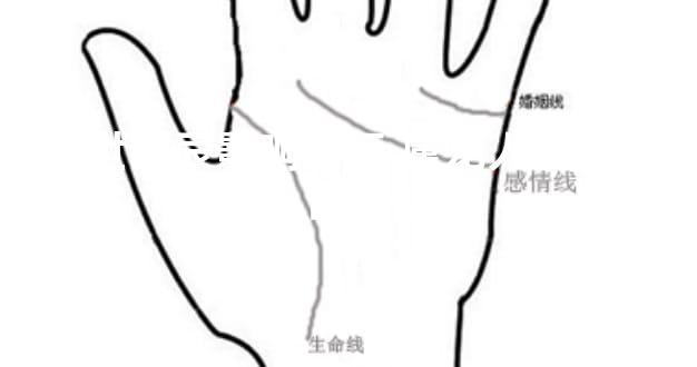 出世时辰影响命运 属龙人的命理剖析