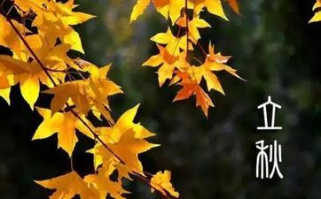 越深交越让人喜爱,人品值得信赖的瑰宝星座 越深交越让人喜爱,人品值得信赖的瑰宝星座