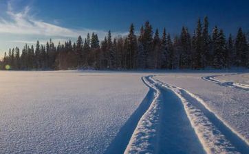 姚晨和凌潇肃的命运原来是这样 姚晨和凌潇肃的命运原来是这样