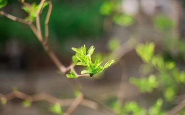 暗恋男神却不敢去寻求的星座女 暗恋男神却不敢去寻求的星座女