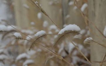 追到了会对你死心塌地的星座男，我能够