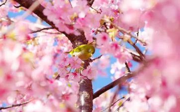 当心职场PUA！这些星座最有或许被坑