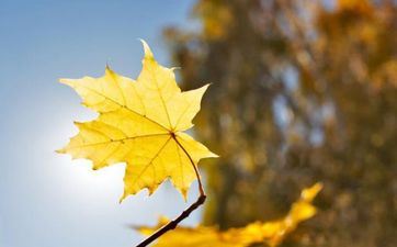 做羞羞事总是忧虑弄脏床布的星座女