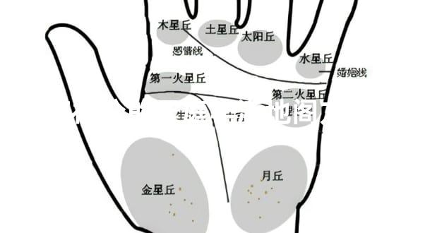 较有福分的天庭饱满地阁方圆面相