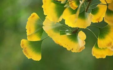 天然生成好老公 嫁给这些星座准没错